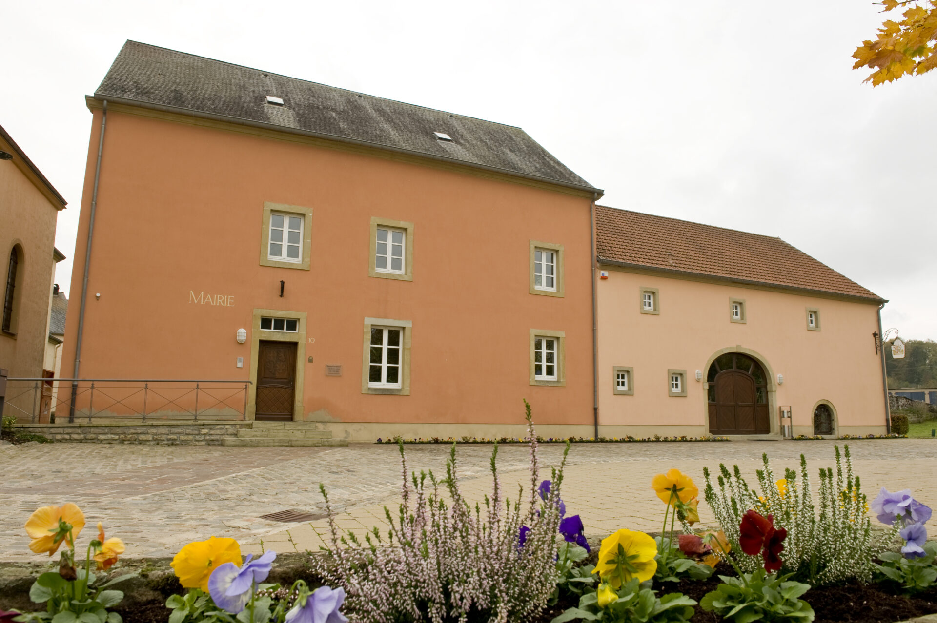 Pierre-HAAS-M-3B-00006