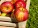 apple-1589874_640