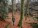 hiking-7667621_1280